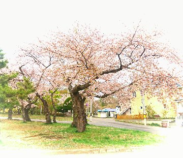 クレジット等決済用５の画像