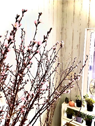 クレジット等決済用10の画像