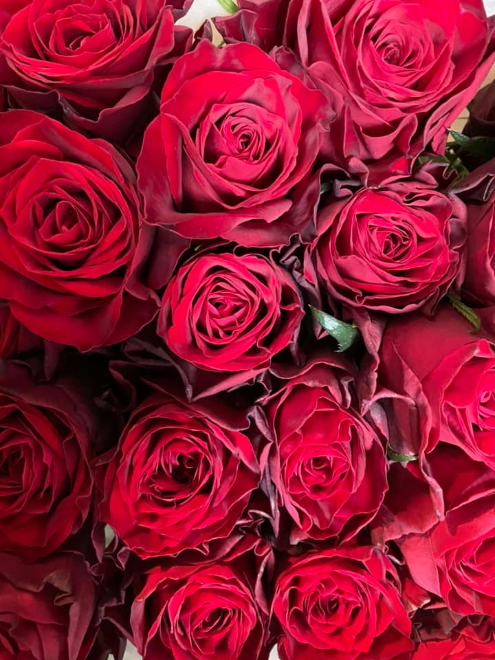 赤バラ２０本の花束画像