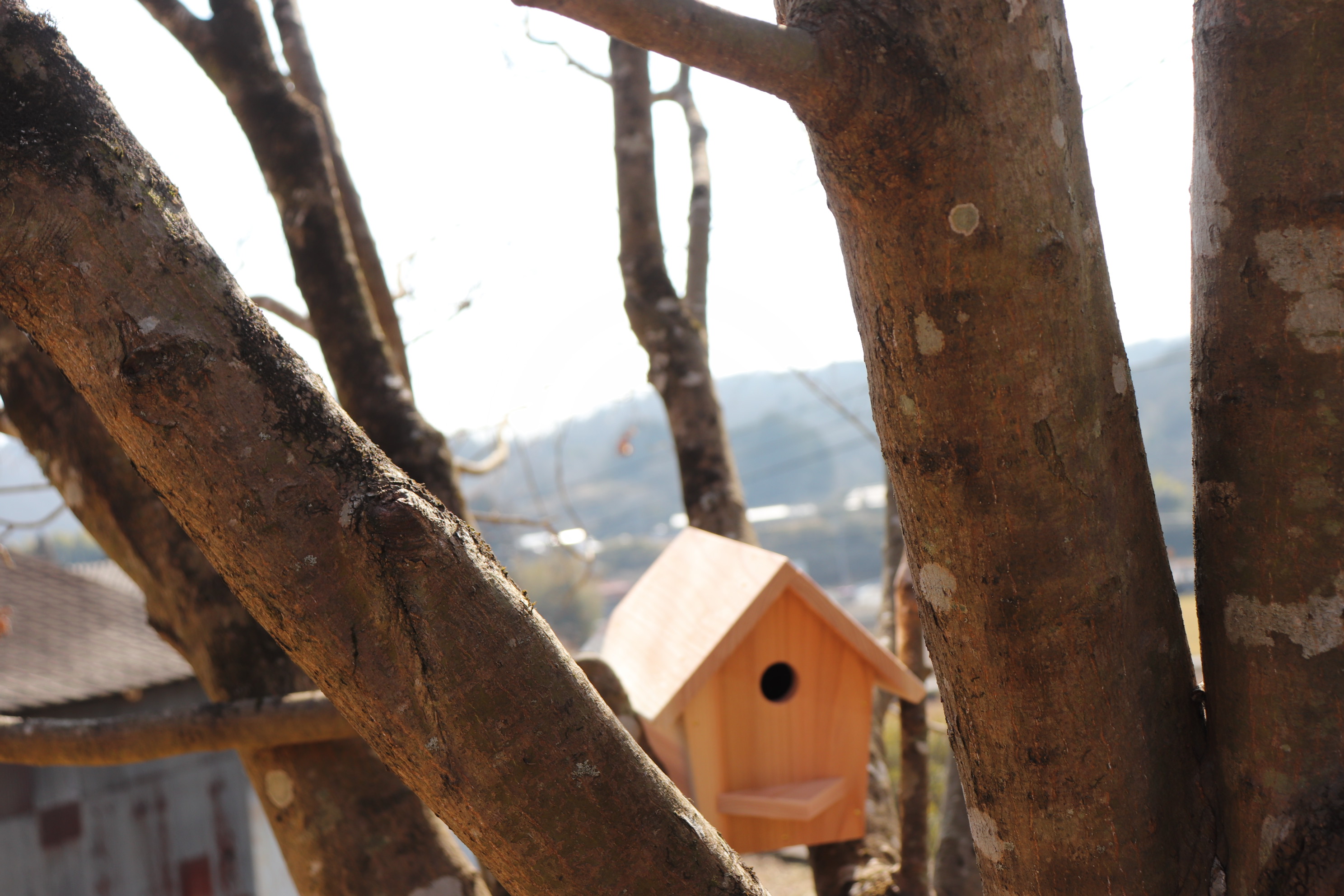 小鳥の巣箱（中）キットの画像