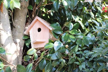 小鳥の巣箱（中）キットの画像