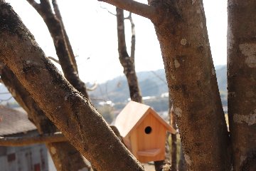 小鳥の巣箱（中）キットの画像