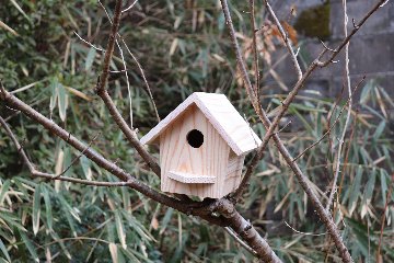 小鳥の巣箱（小）の画像