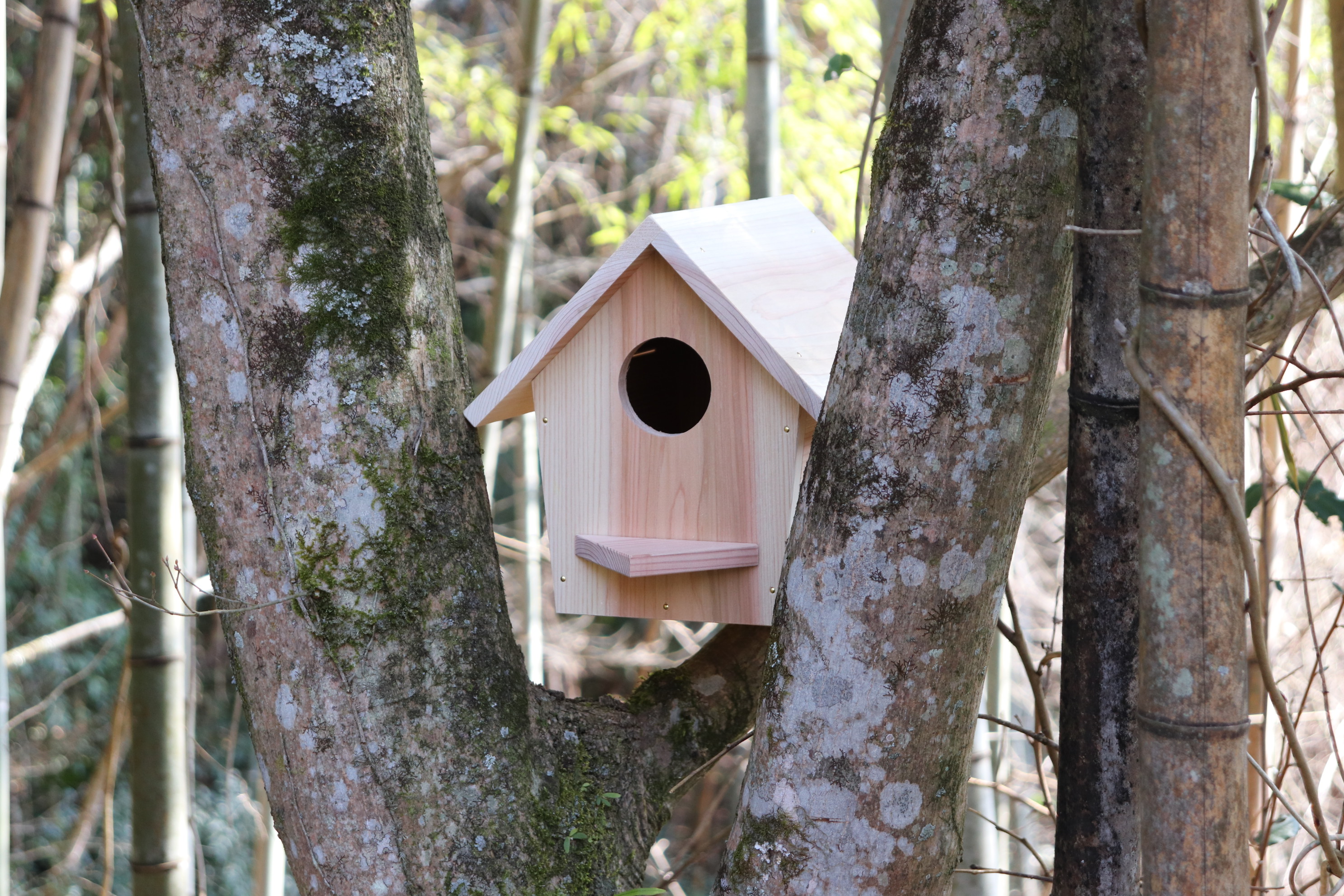小鳥の巣箱（大）キットの画像