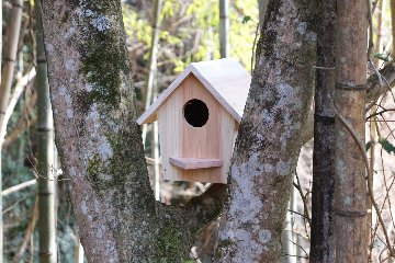小鳥の巣箱（大）キットの画像