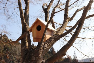 小鳥の巣箱（大）キットの画像