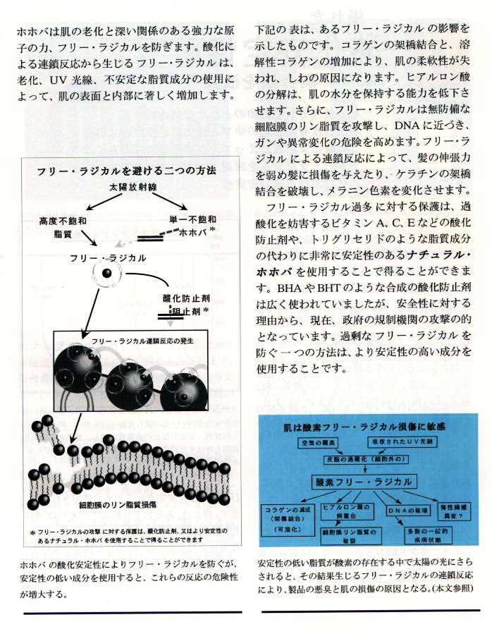 J-100オーガニック透明ホホバオイル2000ml(500mlの4本セット)の画像