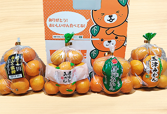愛媛の蜜柑食べ比べセット｜井戸商店