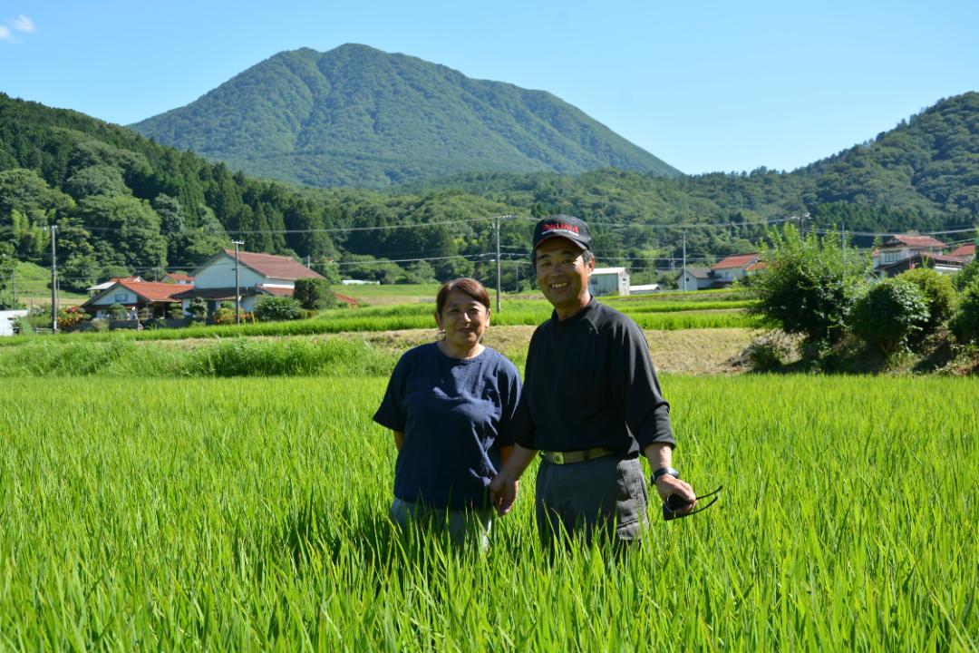 ご縁米（ごえんまい）【令和七年度産】大田市北三瓶産コシヒカリ5kgの画像