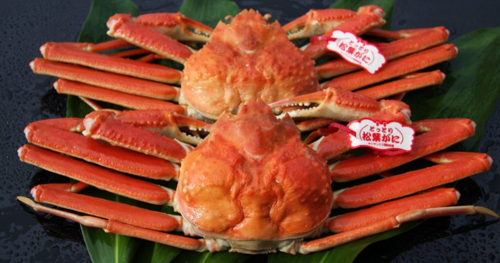 【境港産】松葉がに姿　大2枚（500g～590gｘ2）ボイルの画像