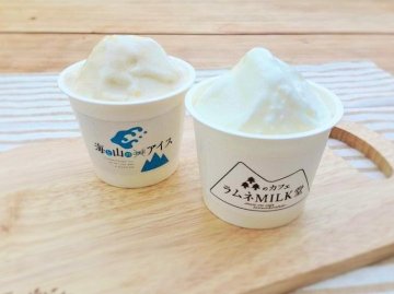 【ラムネMILK堂】アイス6個入りセットの画像
