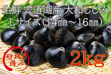 生鮮　島根県宍道湖産大和しじみ　Ｌサイズ（14㎜～16㎜）2㎏の画像