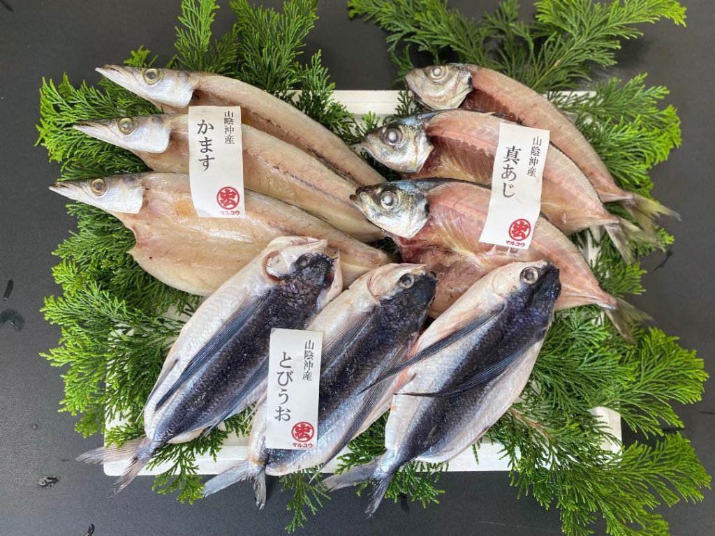 旬の一夜干しセットの画像