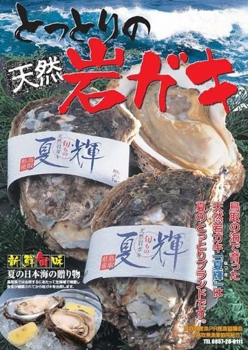 鳥取県産天然岩ガキ「夏輝」（300g～400g×5個）の画像