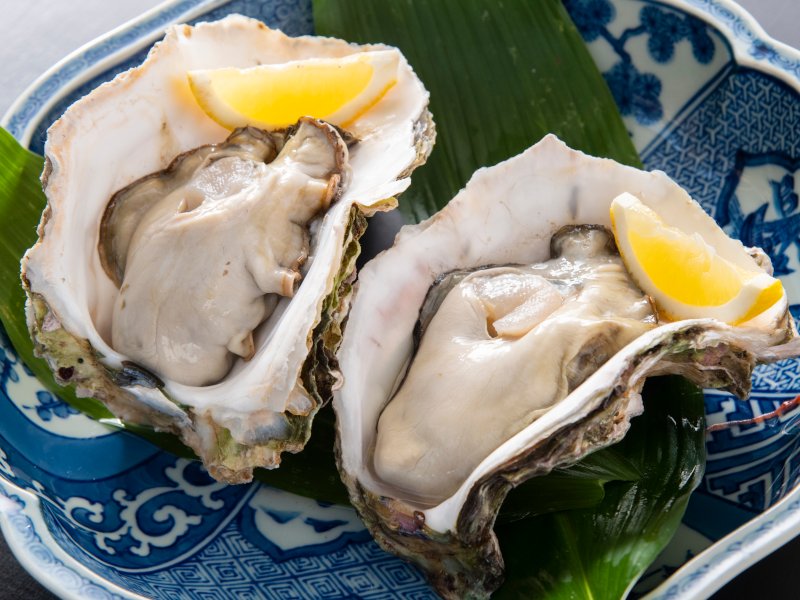 鳥取県産天然岩ガキ「夏輝」（400g～500g×4個）の画像
