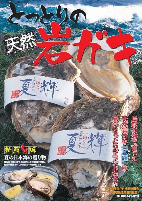 鳥取県産天然岩ガキ「夏輝」（400g～500g×5個）