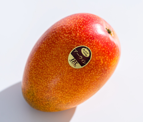 【2024年夏発送】あったかマンゴー おまかせセット画像