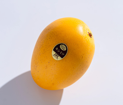 【2024年夏発送】あったかマンゴー おまかせセット画像