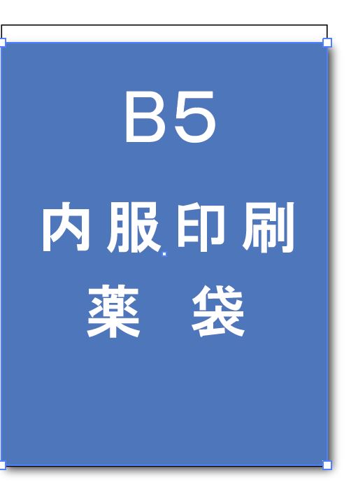 内服印刷薬袋B5の画像