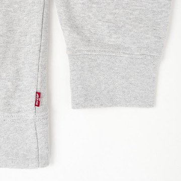 LEVI'S リーバイス　38712-0283  LELAXD GRAPHIC CREW 83)LIGHT HEATHER GREY　クーネックトレーナー　グラフィッック　プリント　ロデオ　スウェットの画像