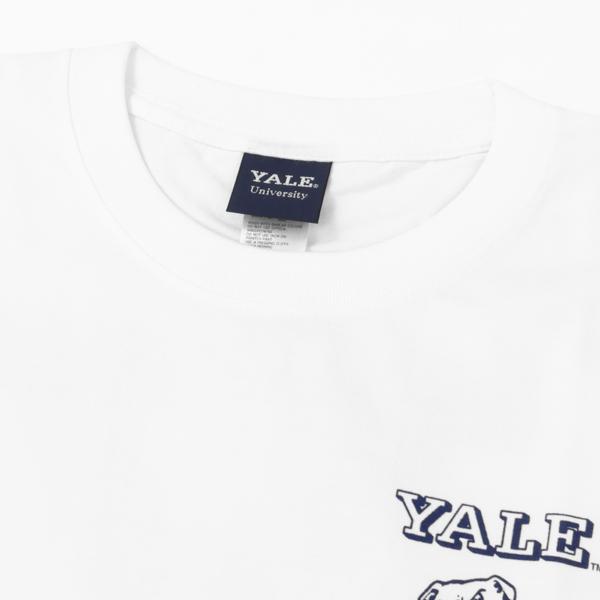 CALIFORNIA HAVA A NICE TIME YALE イエール大学 イニシャルY Tシャツ 6.6oz ヘヴィーウェイト カレッジTeeの画像