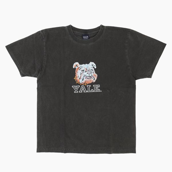 CALIFORNIA HAVA A NICE TIME YALE イエール大学 ピグメント加工 Tシャツ 6.6oz ヘヴィーウェイト カレッジ マスコットTeeの画像