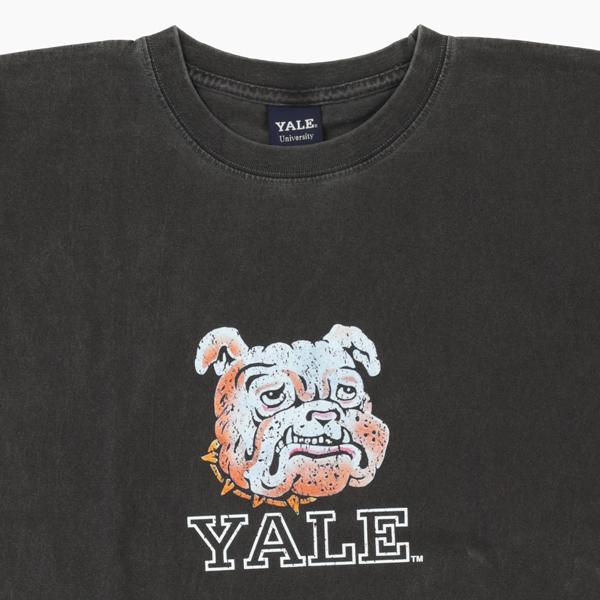 CALIFORNIA HAVA A NICE TIME YALE イエール大学 ピグメント加工 Tシャツ 6.6oz ヘヴィーウェイト カレッジ マスコットTeeの画像