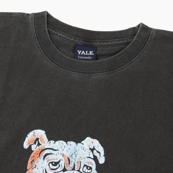 CALIFORNIA HAVA A NICE TIME YALE イエール大学 ピグメント加工 Tシャツ 6.6oz ヘヴィーウェイト カレッジ マスコットTeeの画像
