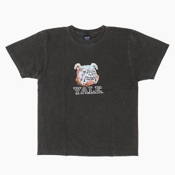 CALIFORNIA HAVA A NICE TIME YALE イエール大学 ピグメント加工 Tシャツ 6.6oz ヘヴィーウェイト カレッジ マスコットTeeの画像