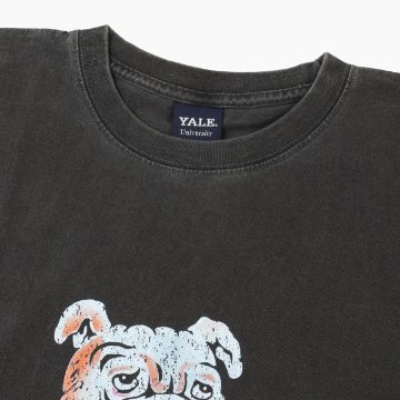 CALIFORNIA HAVA A NICE TIME YALE イエール大学 ピグメント加工 Tシャツ 6.6oz ヘヴィーウェイト カレッジ マスコットTeeの画像