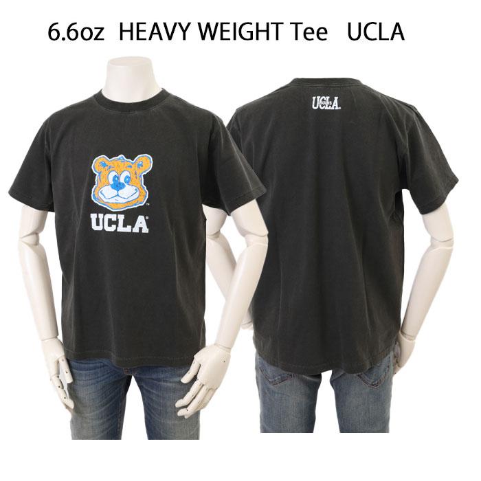 CALIFORNIA HAVA A NICE TIME YALE UCLA 大学 ピグメント加工 Tシャツ 6.6oz ヘヴィーウェイト カレッジ マスコットTeeの画像