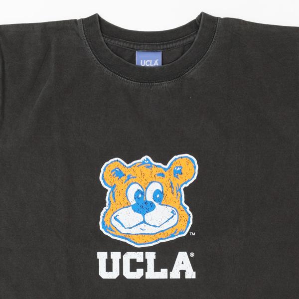 CALIFORNIA HAVA A NICE TIME YALE UCLA 大学 ピグメント加工 Tシャツ 6.6oz ヘヴィーウェイト カレッジ マスコットTeeの画像