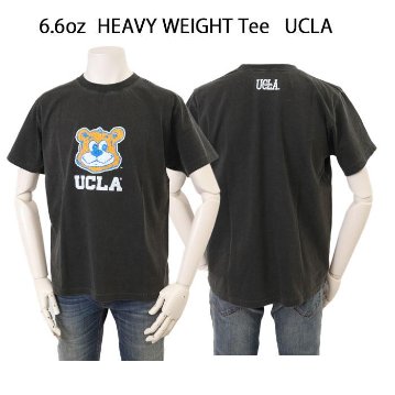 CALIFORNIA HAVA A NICE TIME YALE UCLA 大学 ピグメント加工 Tシャツ 6.6oz ヘヴィーウェイト カレッジ マスコットTeeの画像