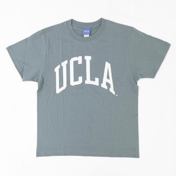 CALIFORNIA HAVA A NICE TIME  UCLA 大学 UCAG108 BLUE Tシャツ 6.6oz ヘヴィーウェイト カレッジ マスコットTeeの画像