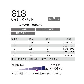 （613）CATサロペットの画像