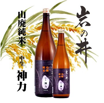 【訳あり/送料無料】岩の井 山廃純米 中生神力 1800ml/当店限定販売/1本限定の画像