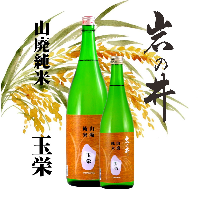 【訳あり/送料無料】岩の井 山廃純米 玉栄 720ml/2本限定の画像