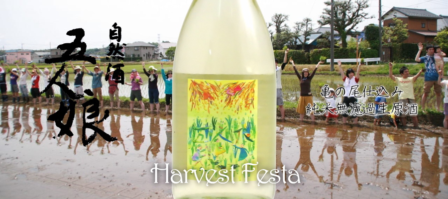 五人娘 HarvestFesta 亀の尾100％純米生原酒