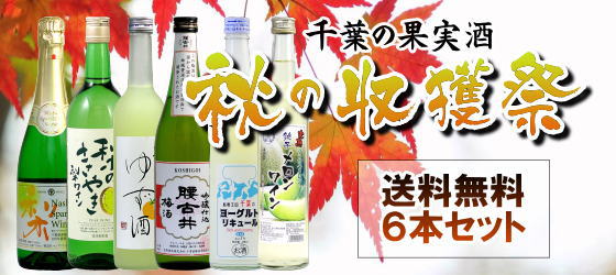 秋の収穫祭 千葉の果実酒６本セット-Ⅲ