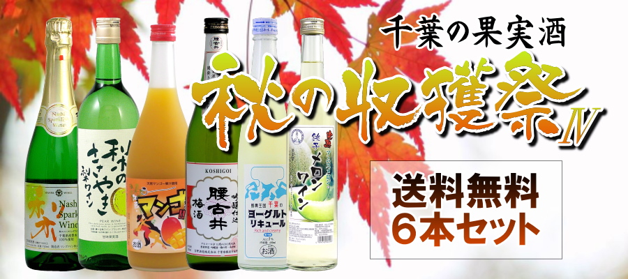 秋の収穫祭 千葉の果実酒６本セット-Ⅳ