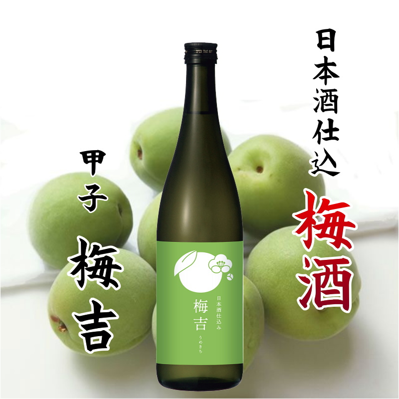 【飯沼本家直送】ちばのめぐ実 蔵元の梅酒 日本酒仕込 梅吉 720ml画像