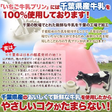 【送料無料(沖縄・離島への配送不可)】濃厚ミルクにいちごの酸味！【お徳用】甘酸っぱい♪ひとくちいちご牛乳プリン40個【85ptプレゼント】の画像