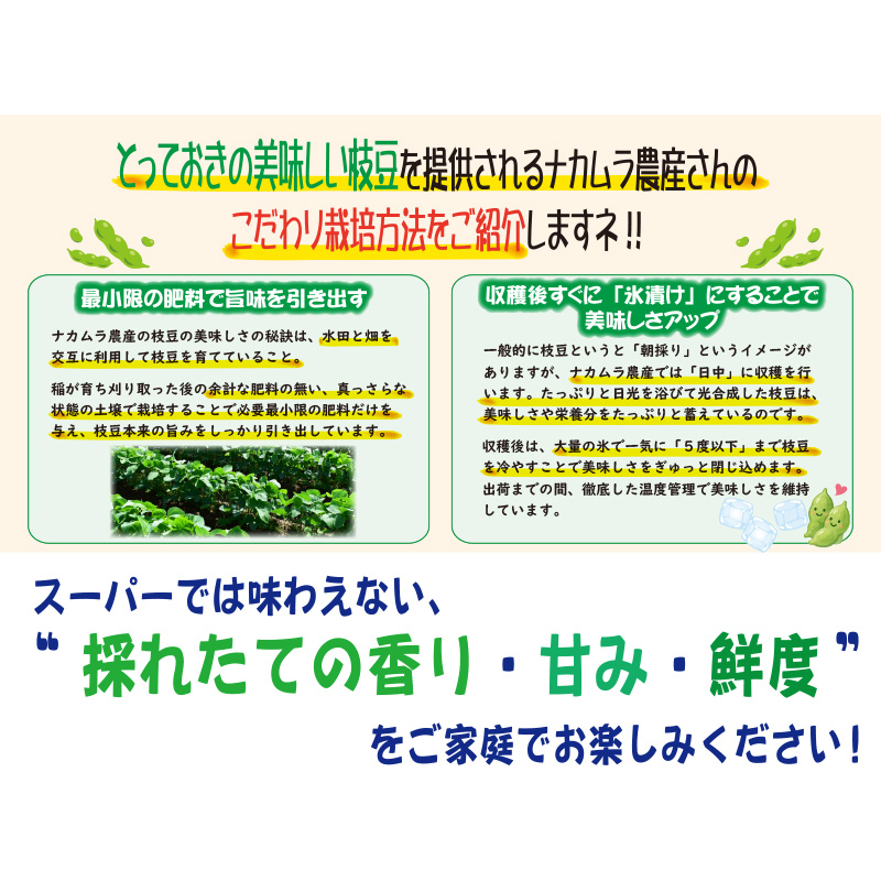 農家さんこだわりの美味しい枝豆　１袋300g【4ptプレゼント】の画像