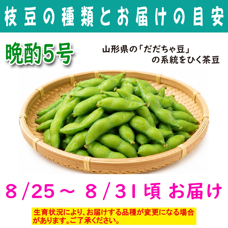 農家さんこだわりの美味しい枝豆　１袋300g【4ptプレゼント】の画像