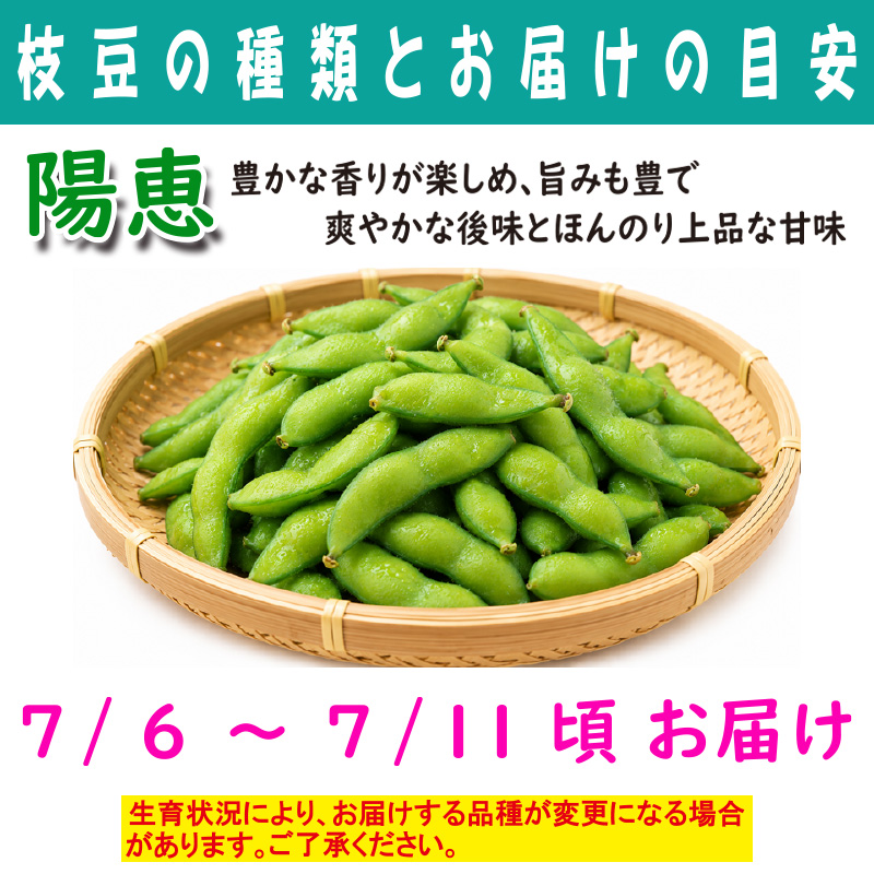 農家さんこだわりの美味しい枝豆　１袋300g【4ptプレゼント】の画像