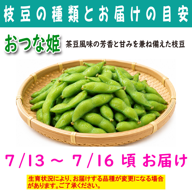 農家さんこだわりの美味しい枝豆　１袋300g【4ptプレゼント】の画像