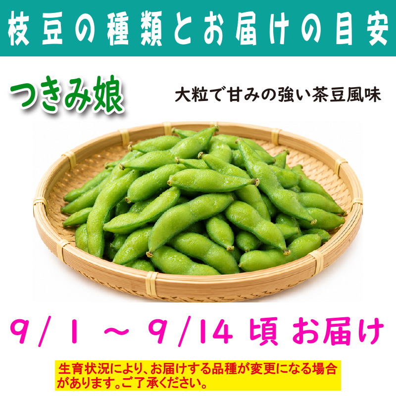 農家さんこだわりの美味しい枝豆　１袋300g【4ptプレゼント】の画像