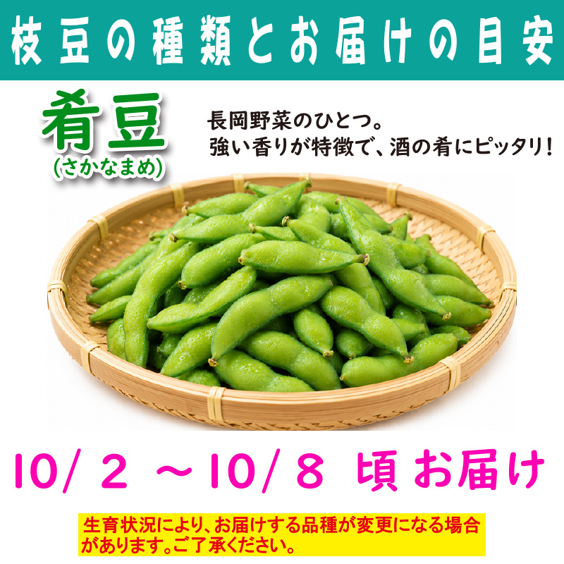 農家さんこだわりの美味しい枝豆　１袋300g【4ptプレゼント】の画像