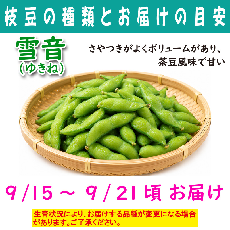 農家さんこだわりの美味しい枝豆　１袋300g【4ptプレゼント】の画像