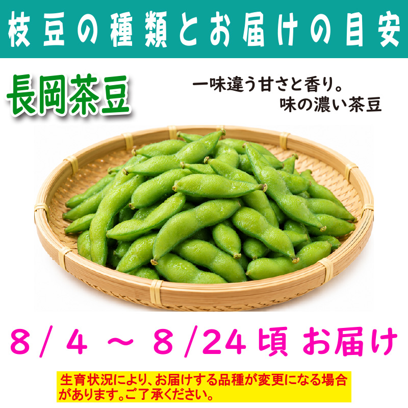 農家さんこだわりの美味しい枝豆　１袋300g【4ptプレゼント】の画像